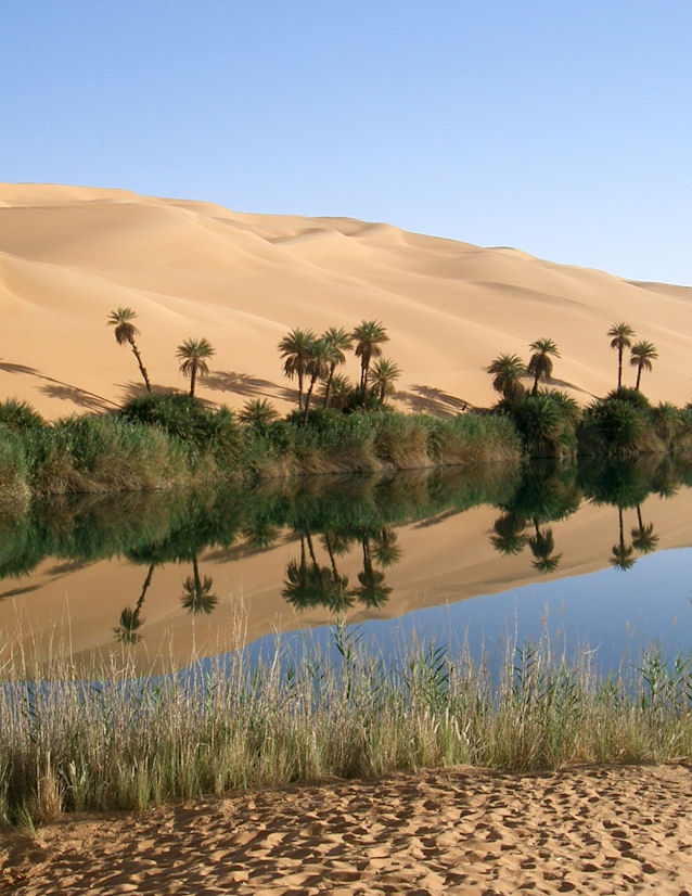 Oasis with palm trees reflected in a tranquil body of water, surrounded by sand dunes in a desert landscape